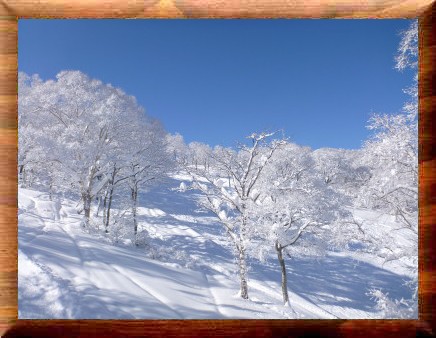 野沢温泉スキー場３